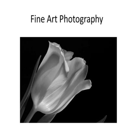 Fine art photography