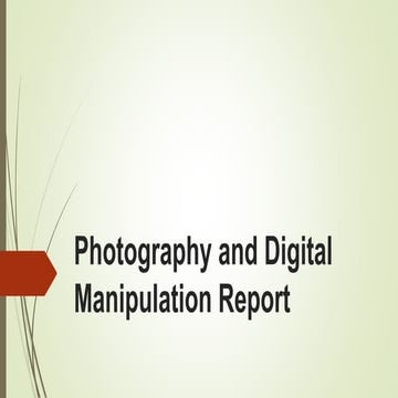 Fine art report pro forma