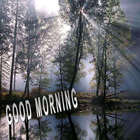 Orthodontics fine element method analysis.ppt