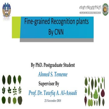 Fine grained recognition plants from image