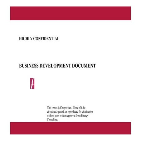 Finergy Analytics Services Profile