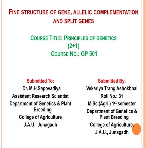 Fine structureof gene,allelic complementation,and split gene 
