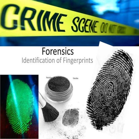 CSI'/ Forensics Fingerprint Identification | PPT