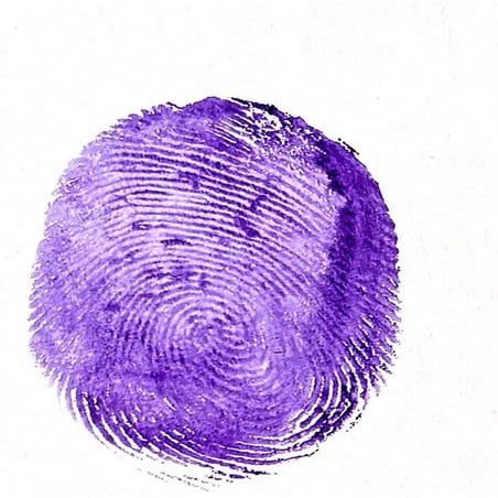 fingervbxbxbxbbxbxbxxbxbcbcfbxfvxfvprint.pdf