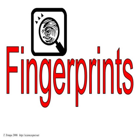 Fingerprint101