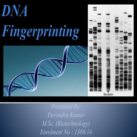 Fingerprinting pdf
