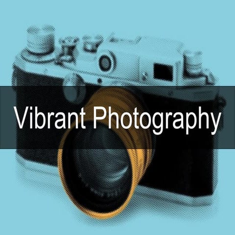 Vibrant Photography at FramedArt.com