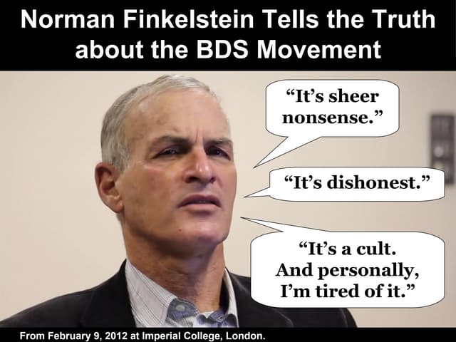Norman Finkelstein Tells the Truth ...