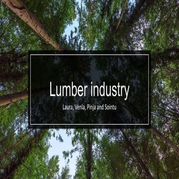 Finland - Lumber industry presentation in Petäjävesi - Finland (2019)