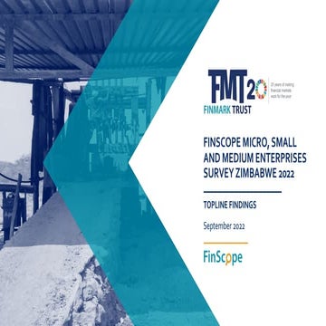 FinScope_MSME_Survey_Zimbabwe2022_findings.pdf