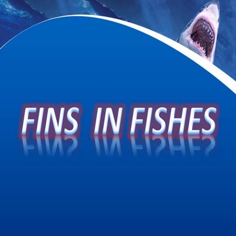 FINS IN FISHES ZOOLOGY.pptx