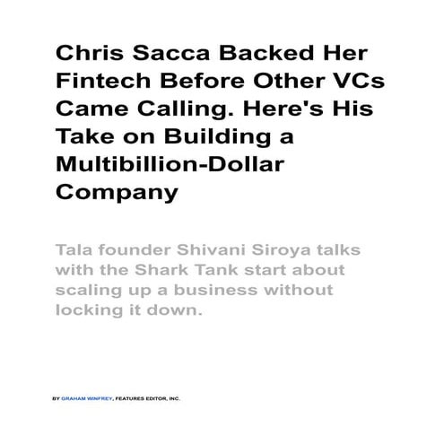Fintech and v cs