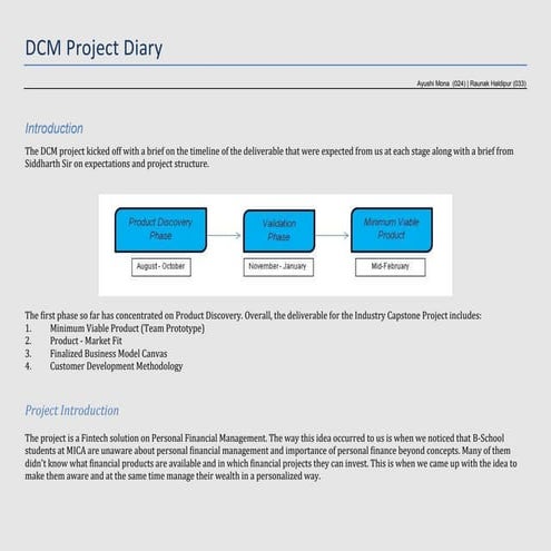 Fintech Project Diary