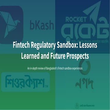 Fintech Regulatory Sandbox: Lessons Learned and Future Prospects