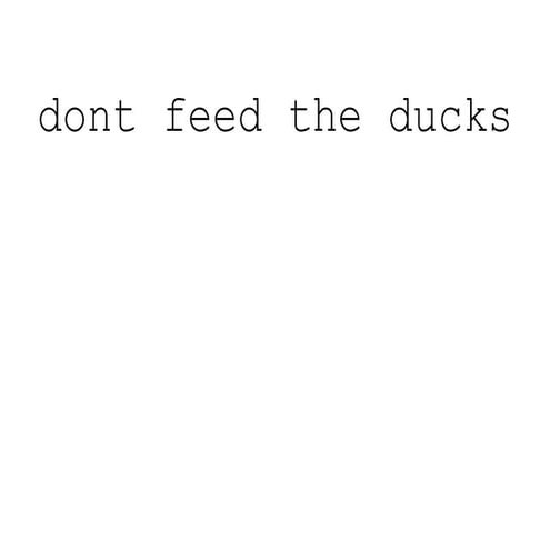 Don't Feed the Ducks Storyboard | PDF