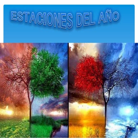 Fiorela Naupari Herrera 