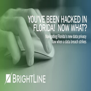 Your've Been Hacked in Florida! Now What?