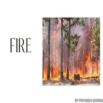 FIRE learning presentation case studies | PDF