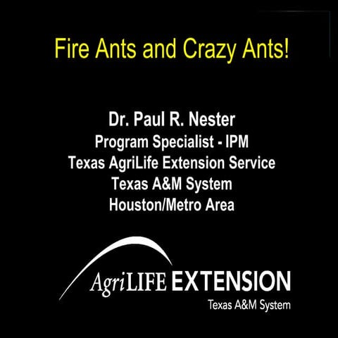 Fire Ants & Crazy Ants Presentation