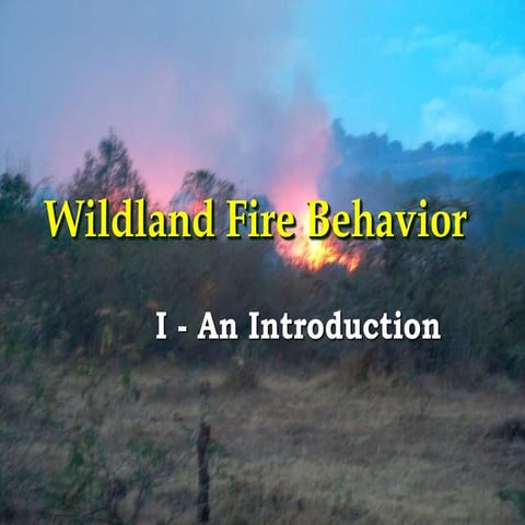 Fire behaviour _1.pptx