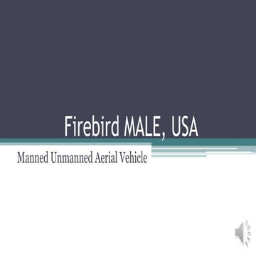 Firebird male, usa   manned unmanned aerial vehicle