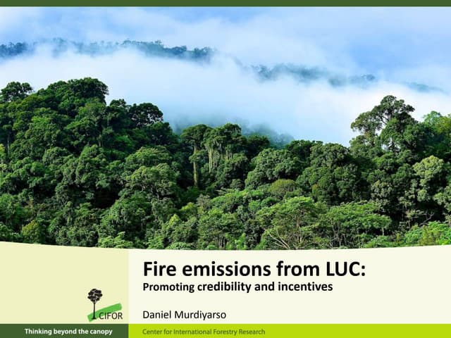 Fire emissions from LUC:  Promoting credibility and incentives