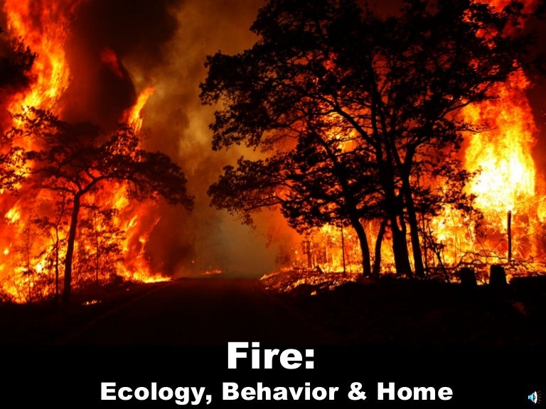 fire ecology notes ppt ppt presentation theme