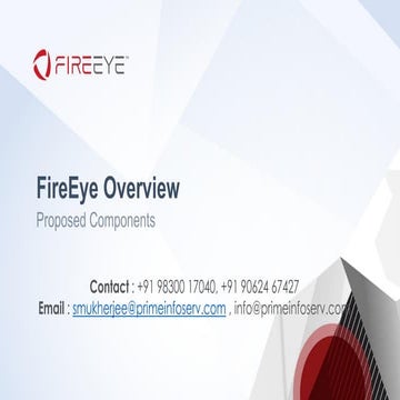 FireEye Portfolio
