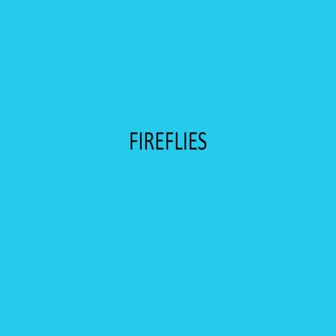 Fireflies vocal