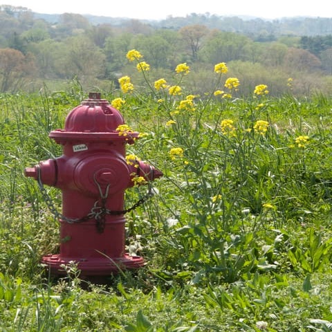 Fire Hydrant | PDF