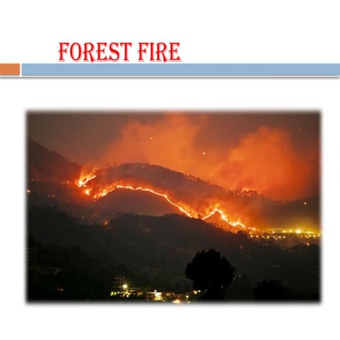 Fire Injuries.pptx SAF 313 Forest protection.pptx