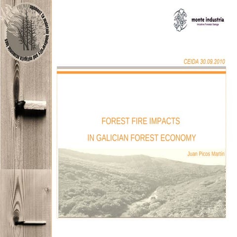 Impact fires in galician forest economy (Fireman Project 30.09.10)