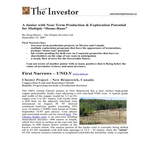 Mina Raura - Salas , Vicente - terminado.pptx