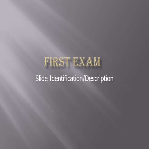 First%2520 exam%5b1%5d | PPT