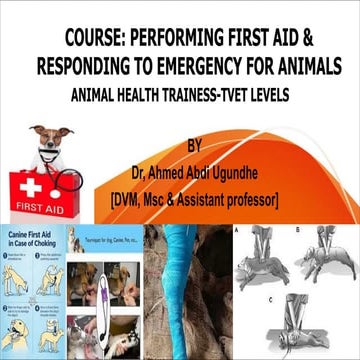 Physical Restraining Methods of dogs and cats | PPTX