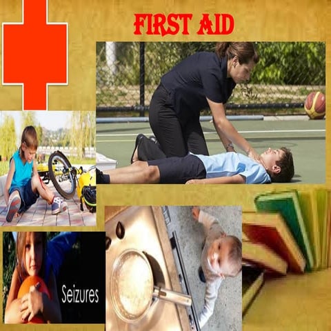 First aid & bandaging | PDF