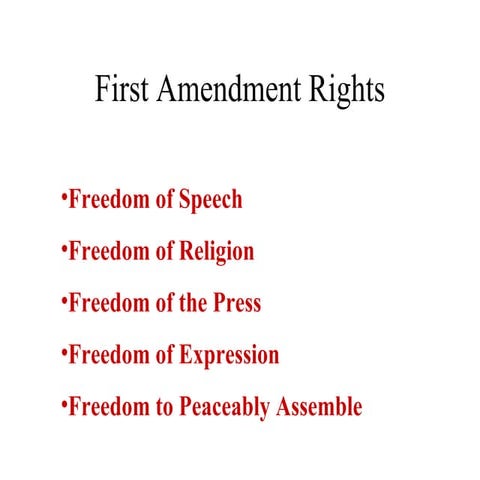 First Amendment Rights Printer Friendly
