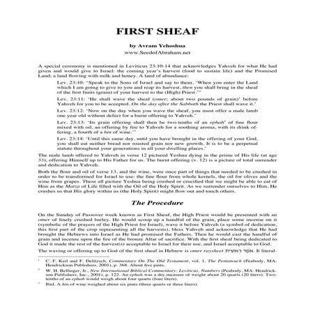 The Feast Of Unleavened Bread 2010[1] | PDF