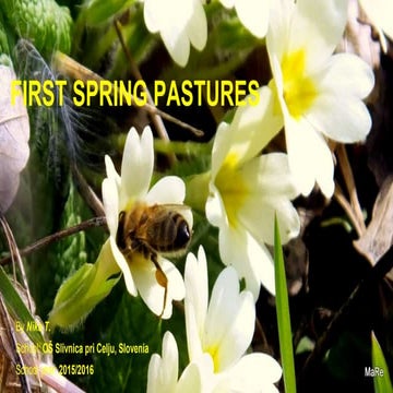 Busy bumble bee | PDF