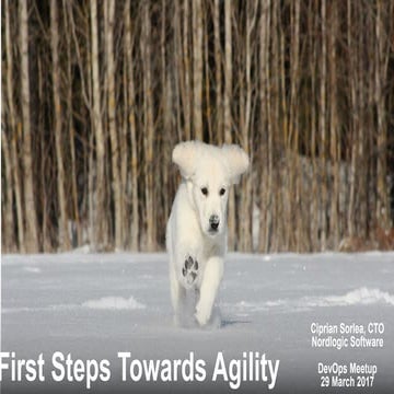 First steps towards agility