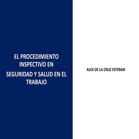 Fiscalizac io n en sst2 alex 2018 - copia