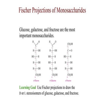 Fischer projections of monosaccharides