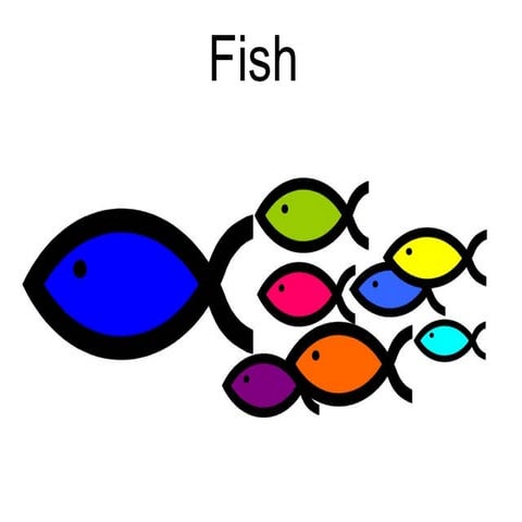 Fish