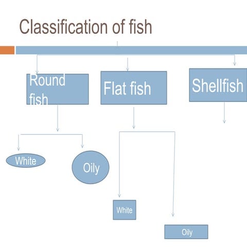 Different Market Forms of Fish