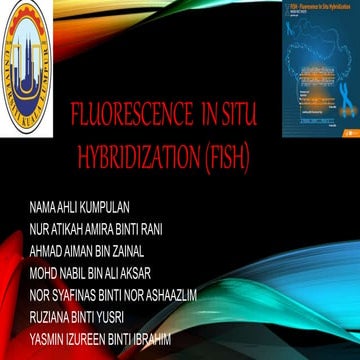 Fluorescence in situ hybridization (FISH)