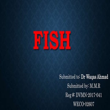 Fish