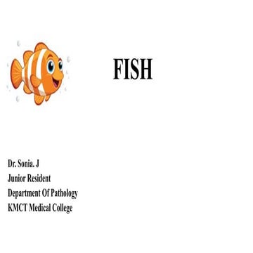 Fluorescent in-situ Hybridization (FISH) | PDF