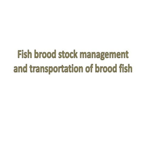 Fish-brood-stock-management, presentation.