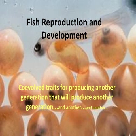 Fish-Reproduction-and-Development prewntation.pdf