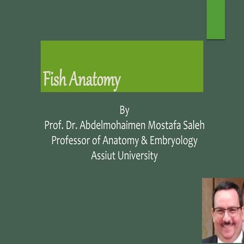 Anatomy of External Organs of the Fishes